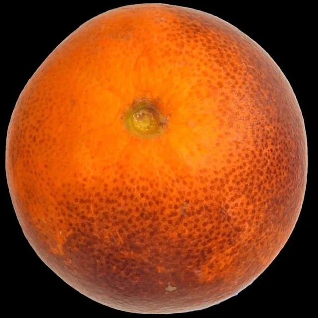 thumbnail for publication: Postharvest Physiological Disorders of Blood Orange Fruit